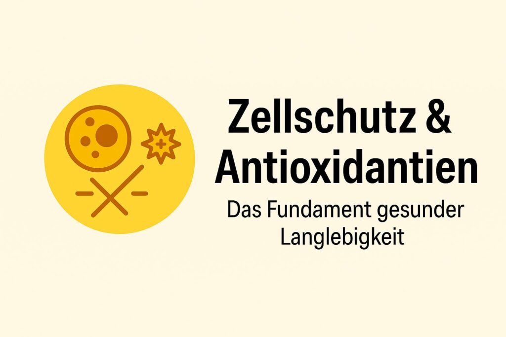 Gelbe Zelle neben Molekülsymbol als Sinnbild für Zellschutz durch Antioxidantien